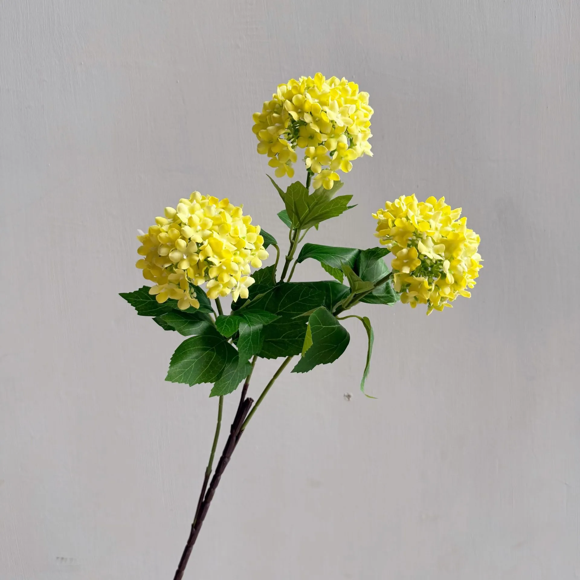 Flowers Hydrangeas SnowballsSmall Home Furnishings
