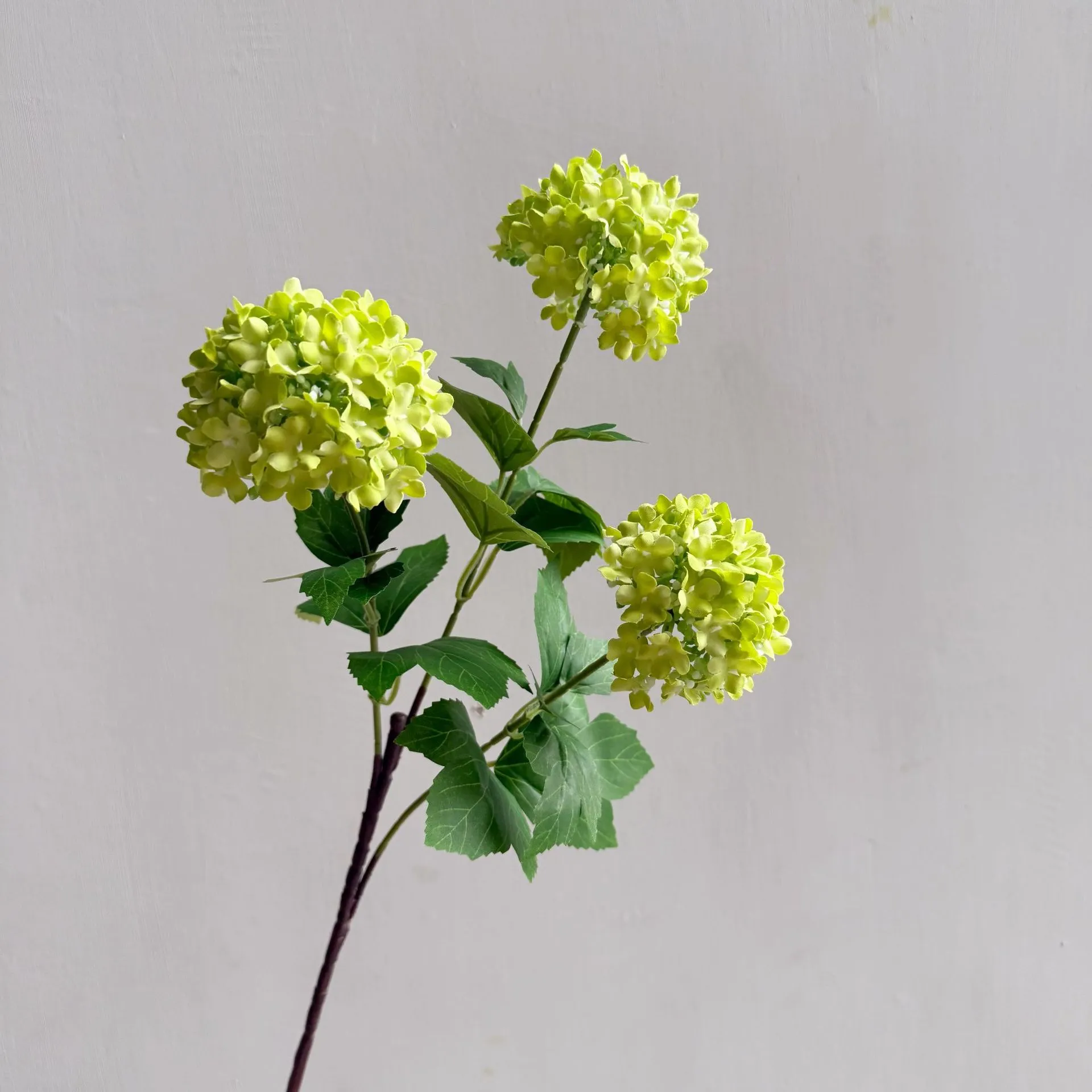 Flowers Hydrangeas SnowballsSmall Home Furnishings