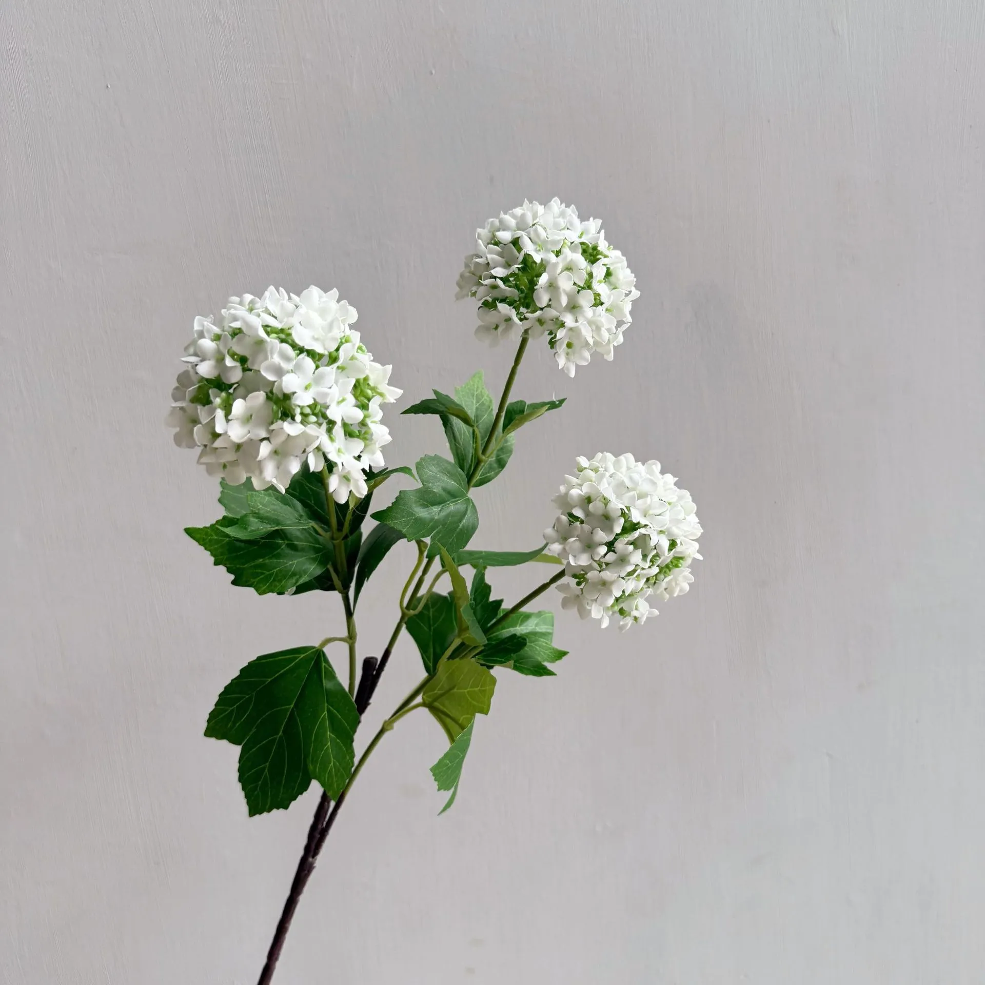 Flowers Hydrangeas SnowballsSmall Home Furnishings